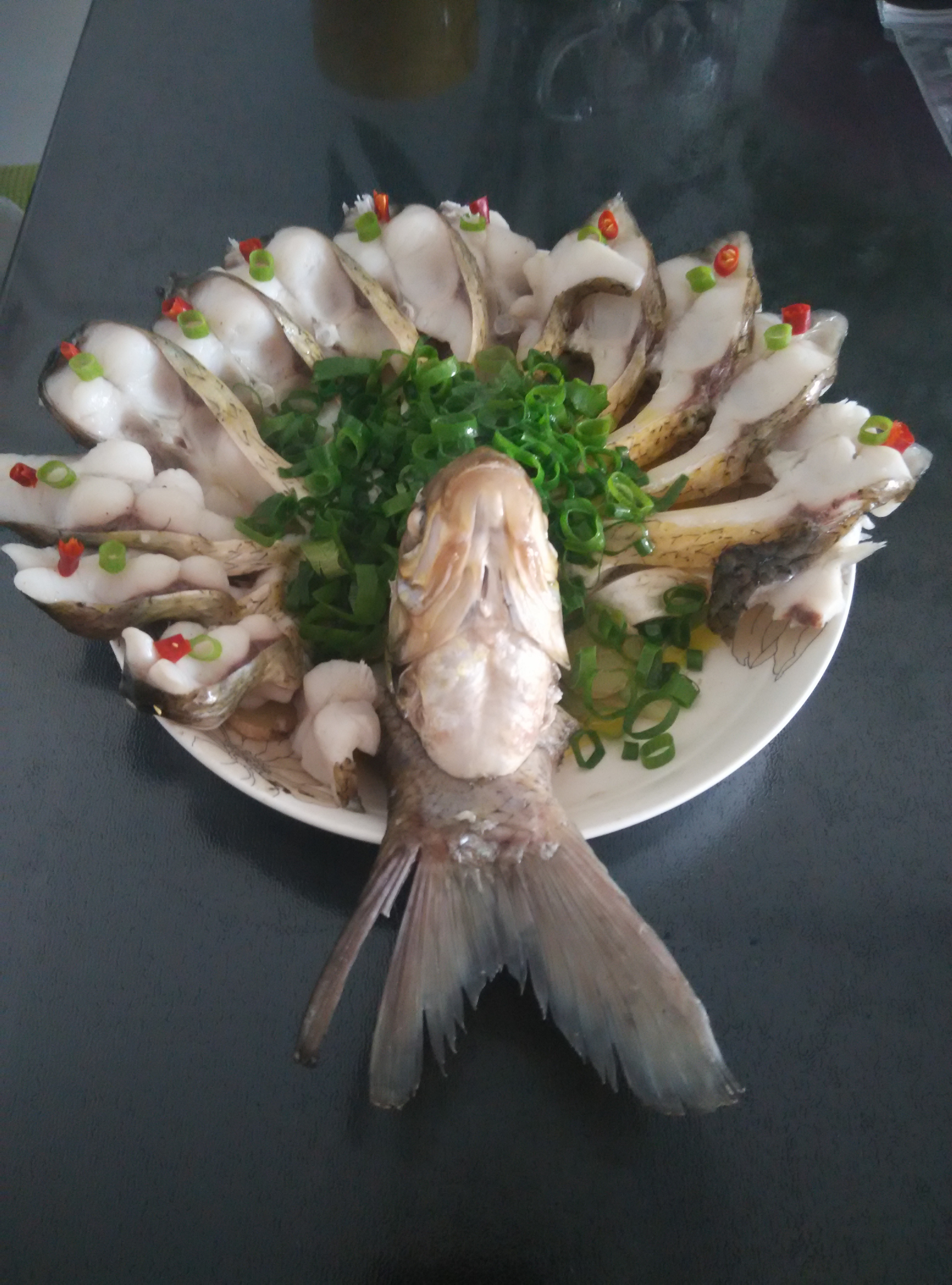 孔雀开屏鱼.