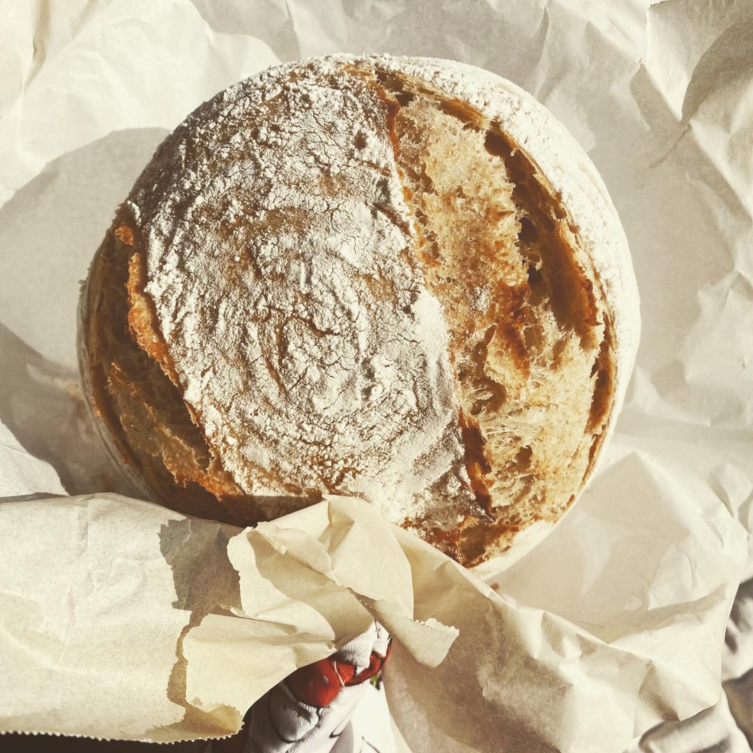 🍞免揉欧包新手入门指南（冷藏发酵、无油无糖）