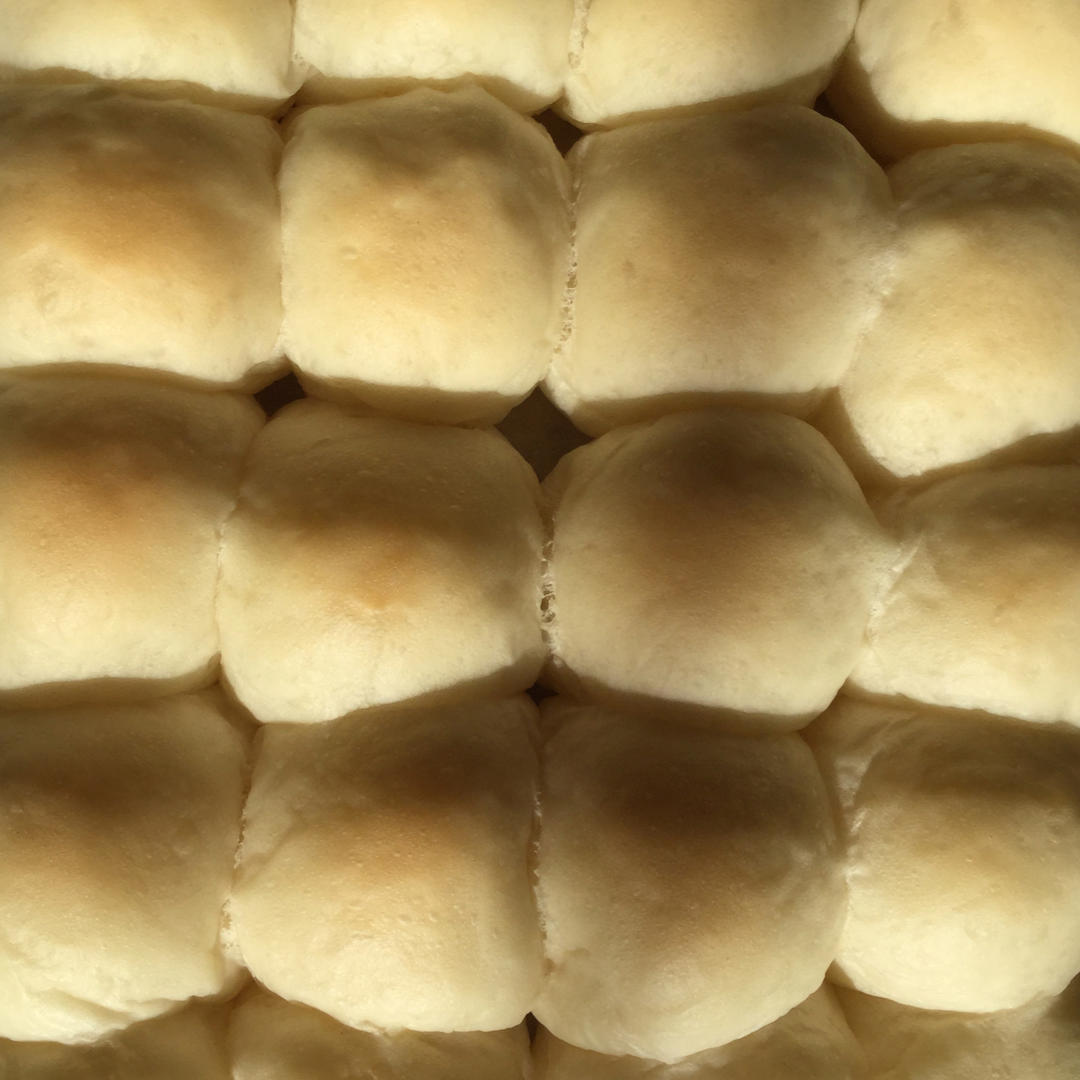 回饼(云南产)的全部作品