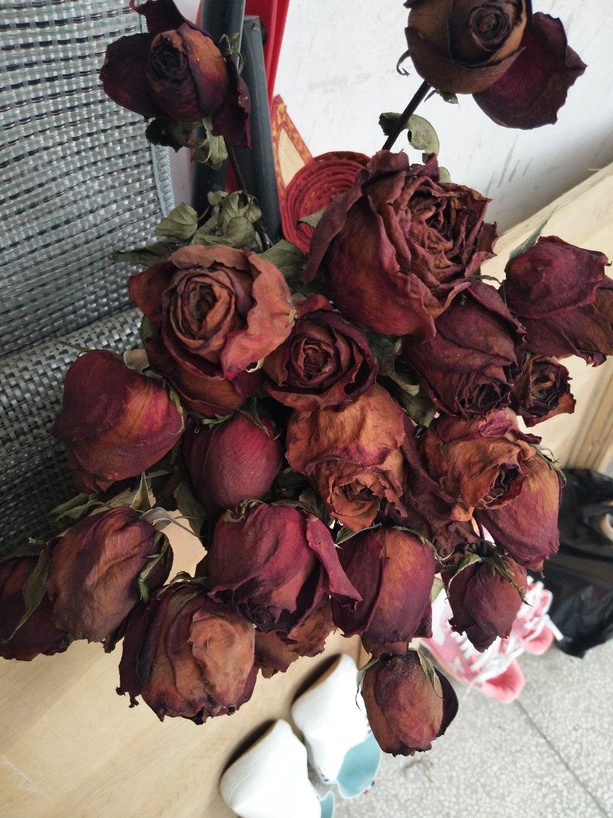 玫瑰花变干花永远保存你的爱