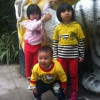 sugar_y9uo