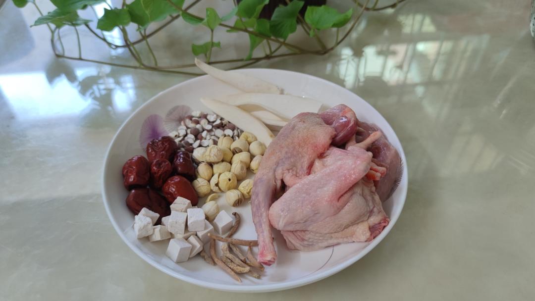 秋季鸽子儿童成长汤