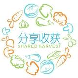 分享收获新吃货