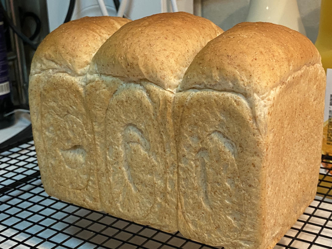 直播100个吐司7:直接法之全麦吐司～水合法（有助于快速出膜）