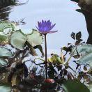 手机用户8927_pflt