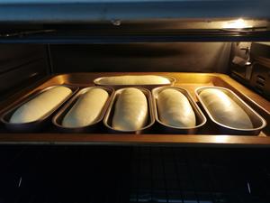 椰蓉奶油面包的做法 步骤10