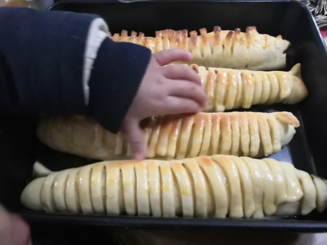 白白胖胖的毛毛虫！