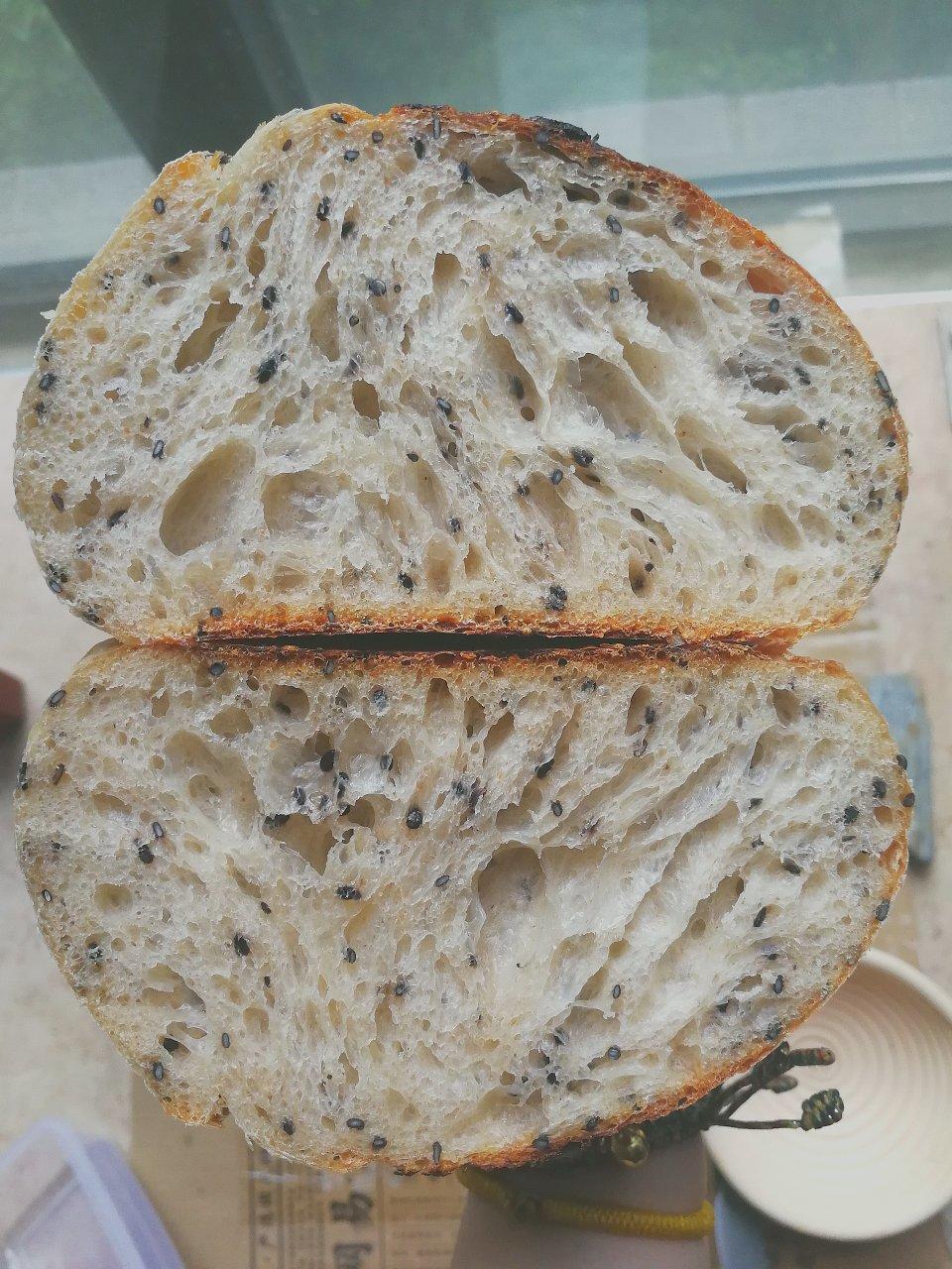 9升烤箱的欧包练习