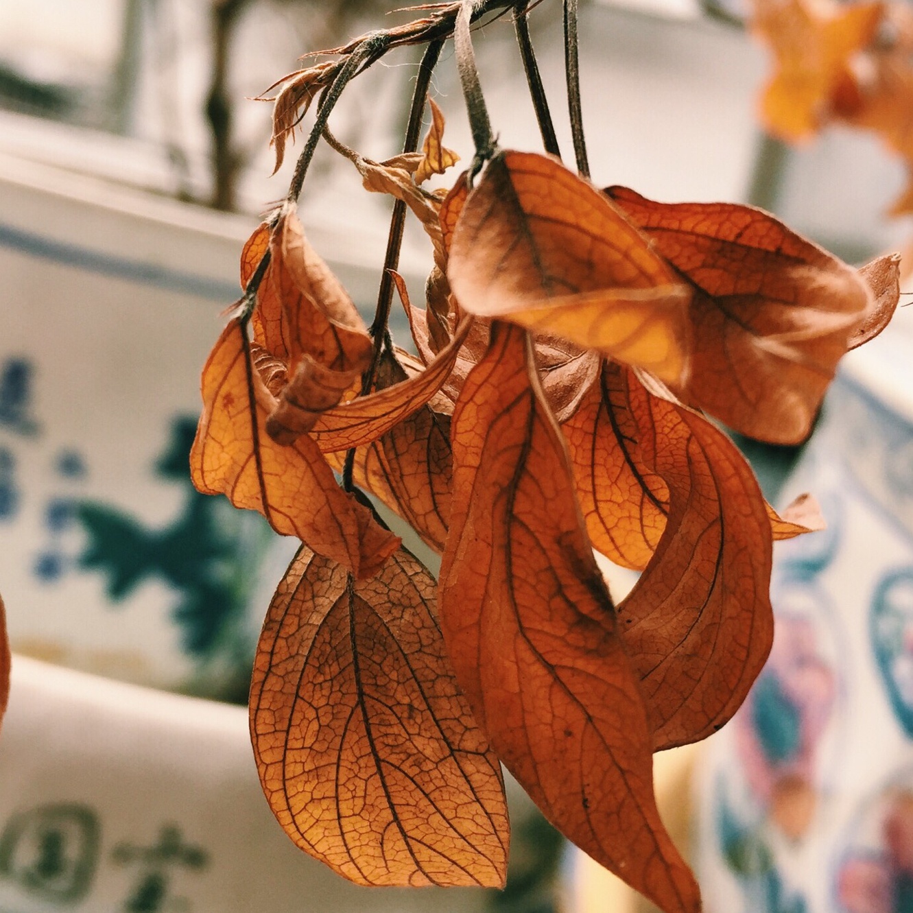 Amin手机摄影课后作业（轻摄影）