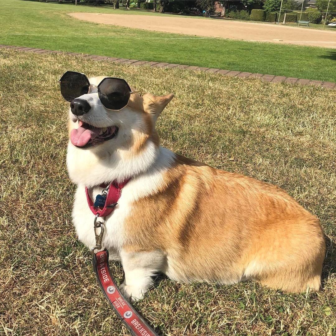 水水头上有犄角