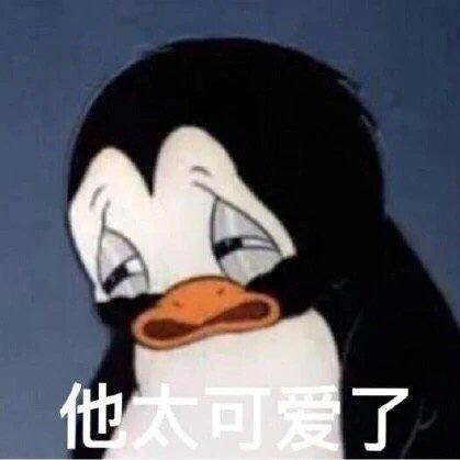 月球上的peter_pan