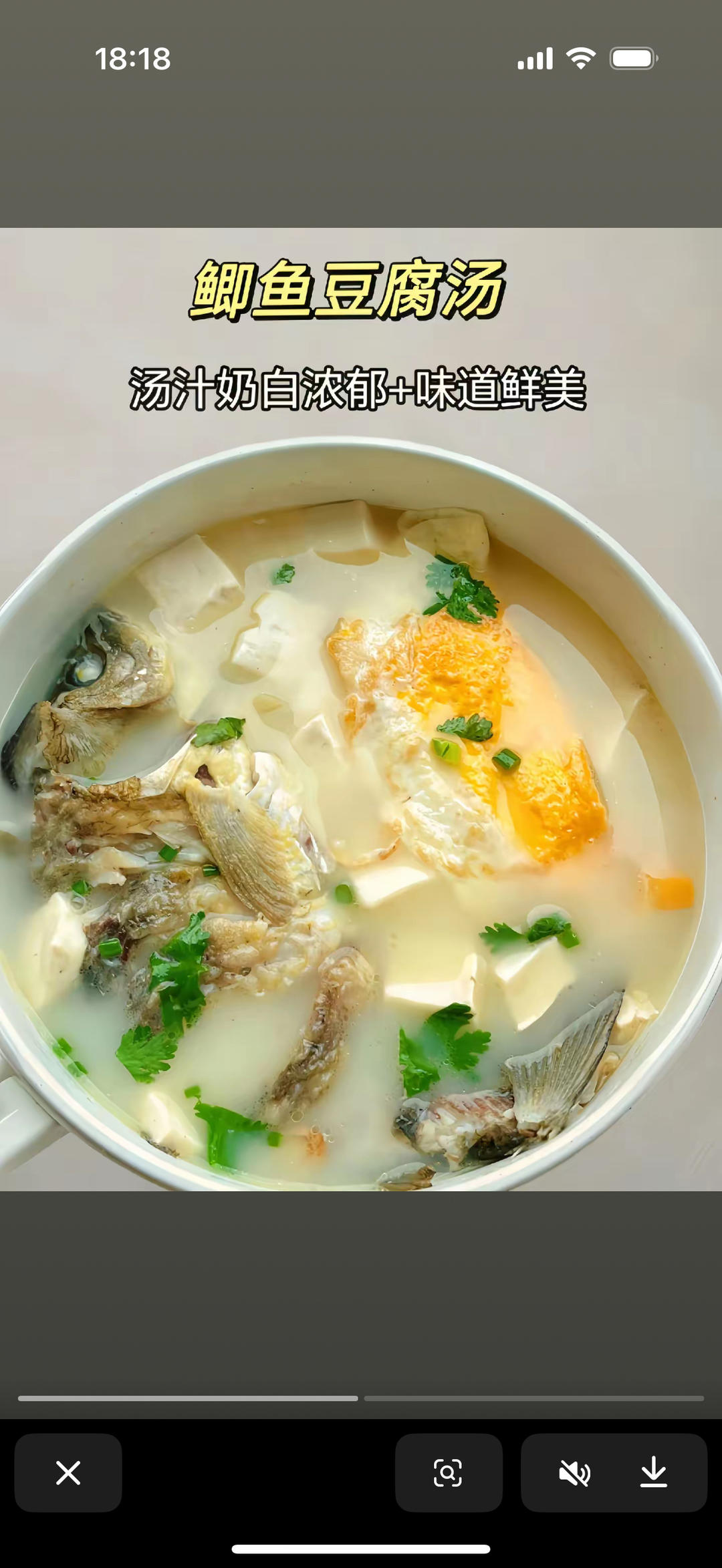 鲫鱼豆腐汤的做法