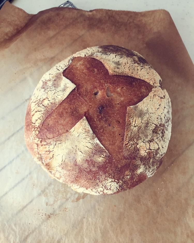🍞免揉欧包新手入门指南（冷藏发酵、无油无糖）