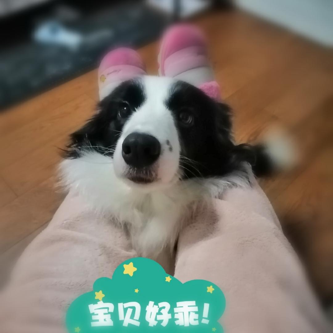 胃坚强