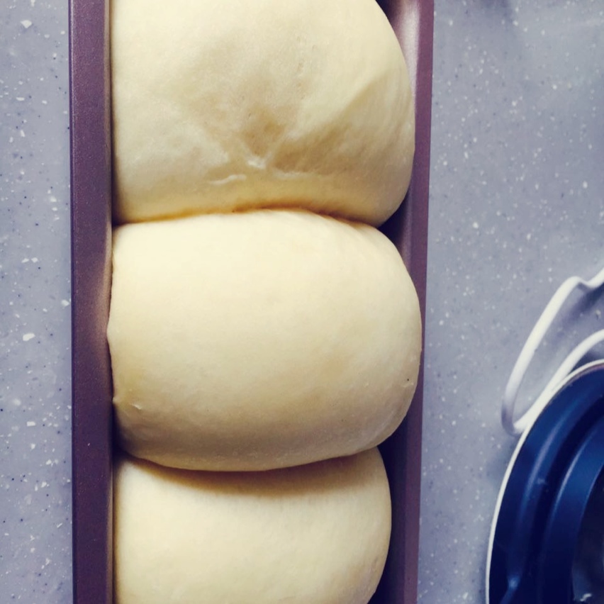 夺命软吐司(๑´ڡ`๑)超软拉丝极速方便的一次发酵吐司