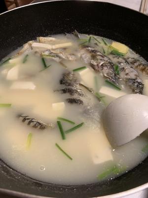 超级简单的野生鲫鱼豆腐汤的做法 步骤5