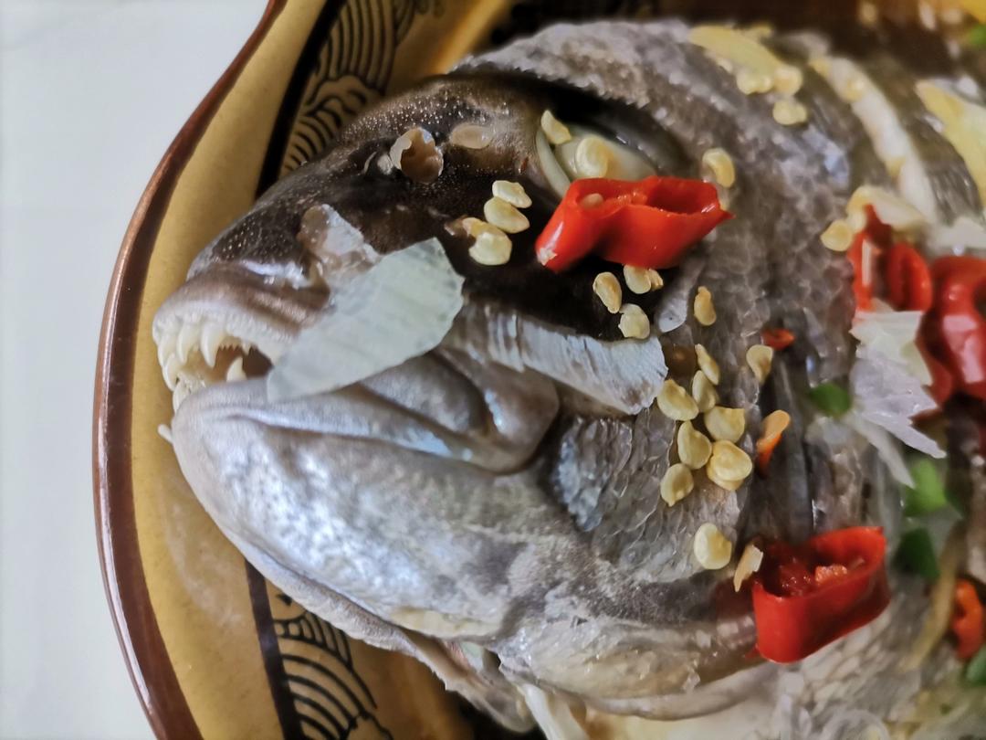 清蒸黑鲷鱼