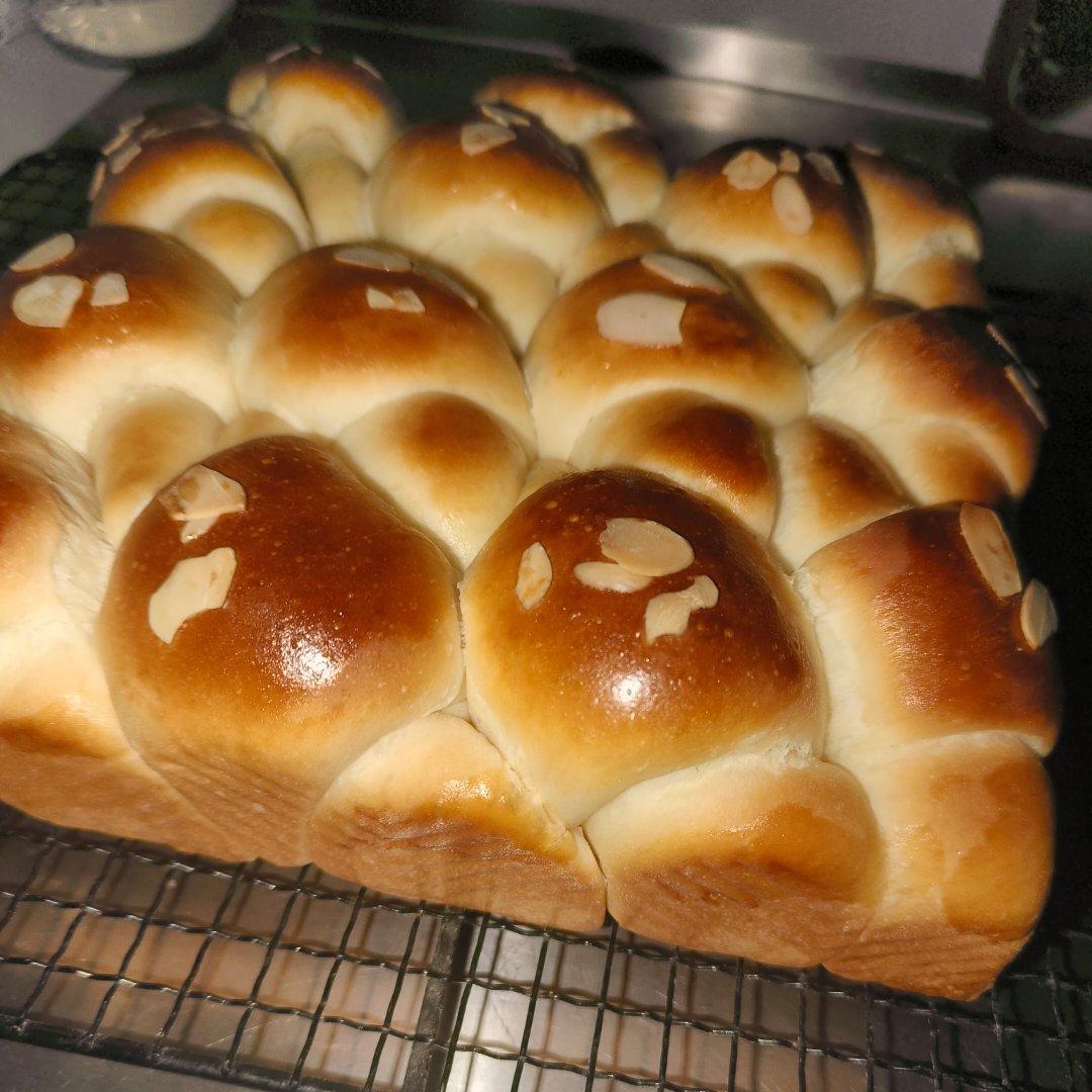 小面包(玉米油版)