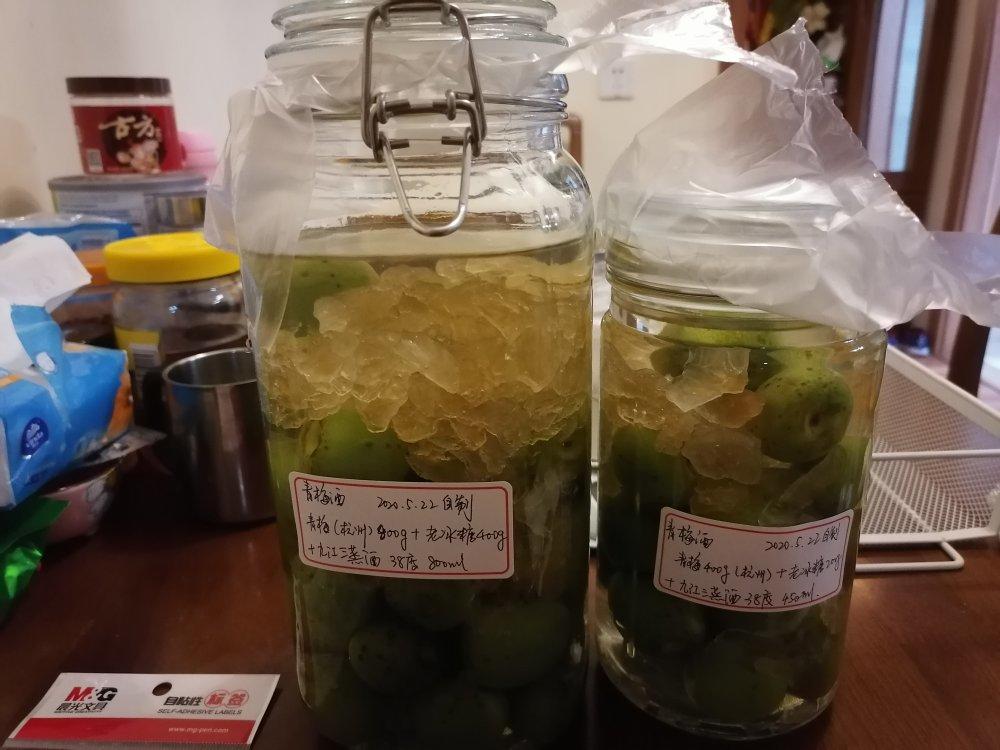 【青梅酒】梅子的沉醉时光（已填坑）