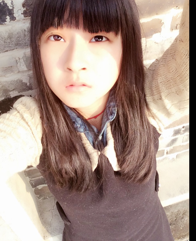 拐角处、的猫