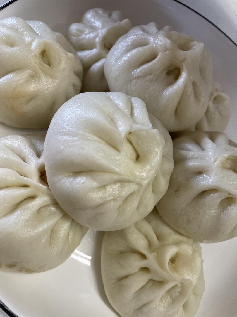 一次发酵肉包子