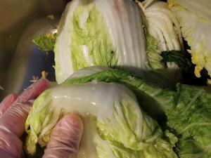 跟韩国婆婆偷师的正宗传统kimchi辣白菜，韩国泡菜（最后附上省时做法）的做法 步骤7