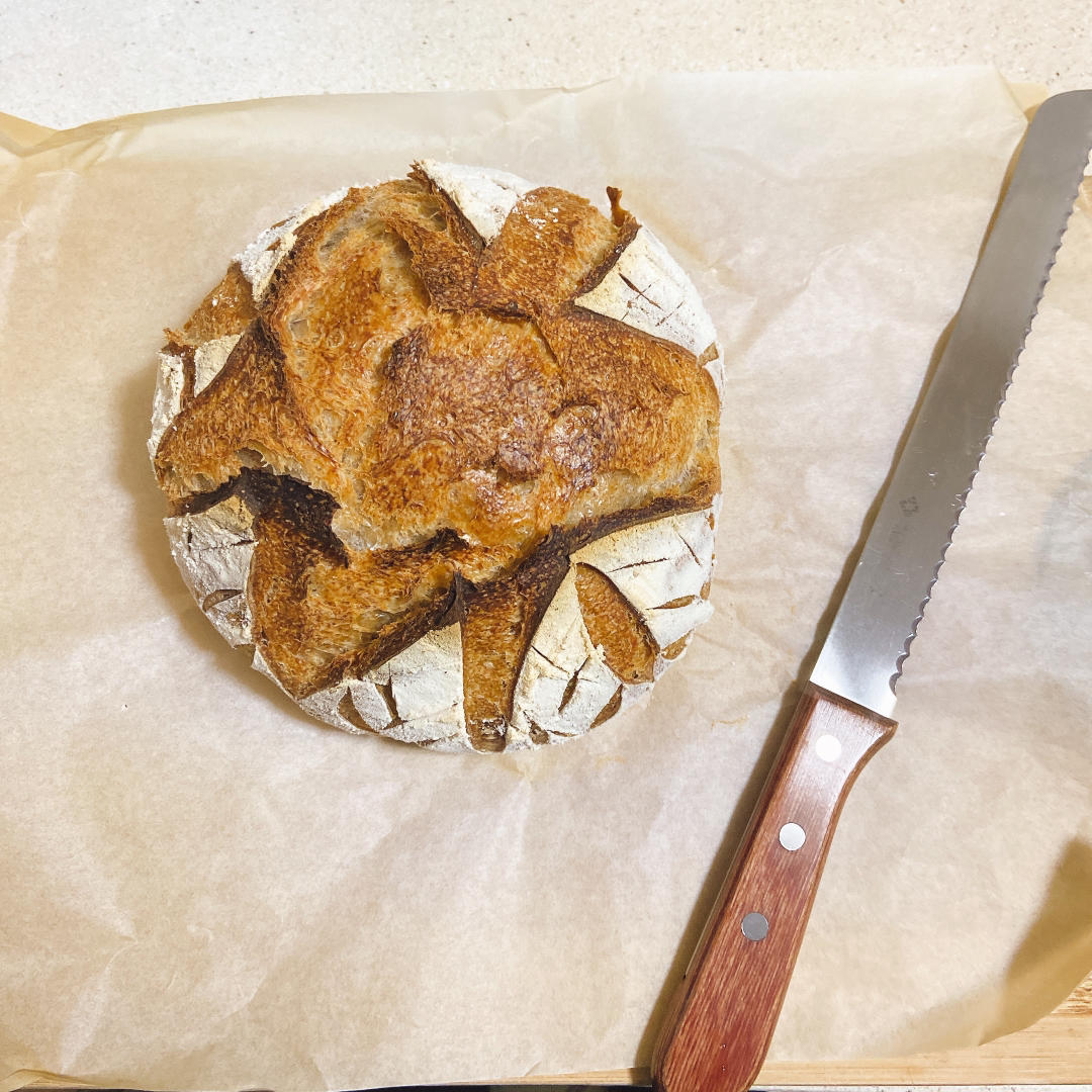 天然酵种欧包之练习