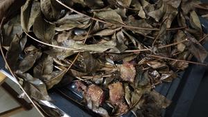 香椿米粉肉(树叶堆里找肉肉)的做法 步骤8