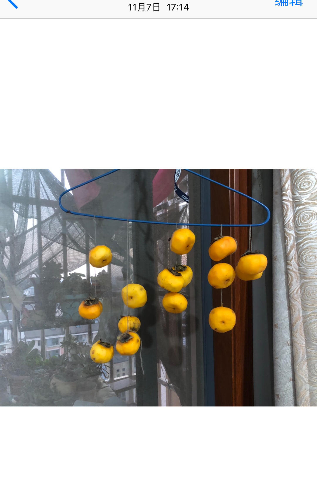 晒柿饼（家庭版DIY 吊柿饼）