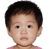 栗子小肥