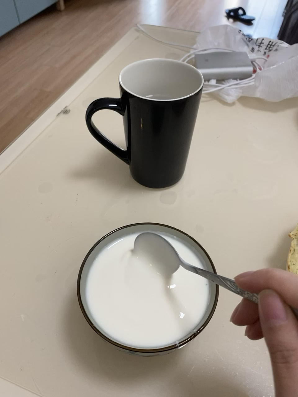 益生菌胶囊制作酸奶电炖锅版