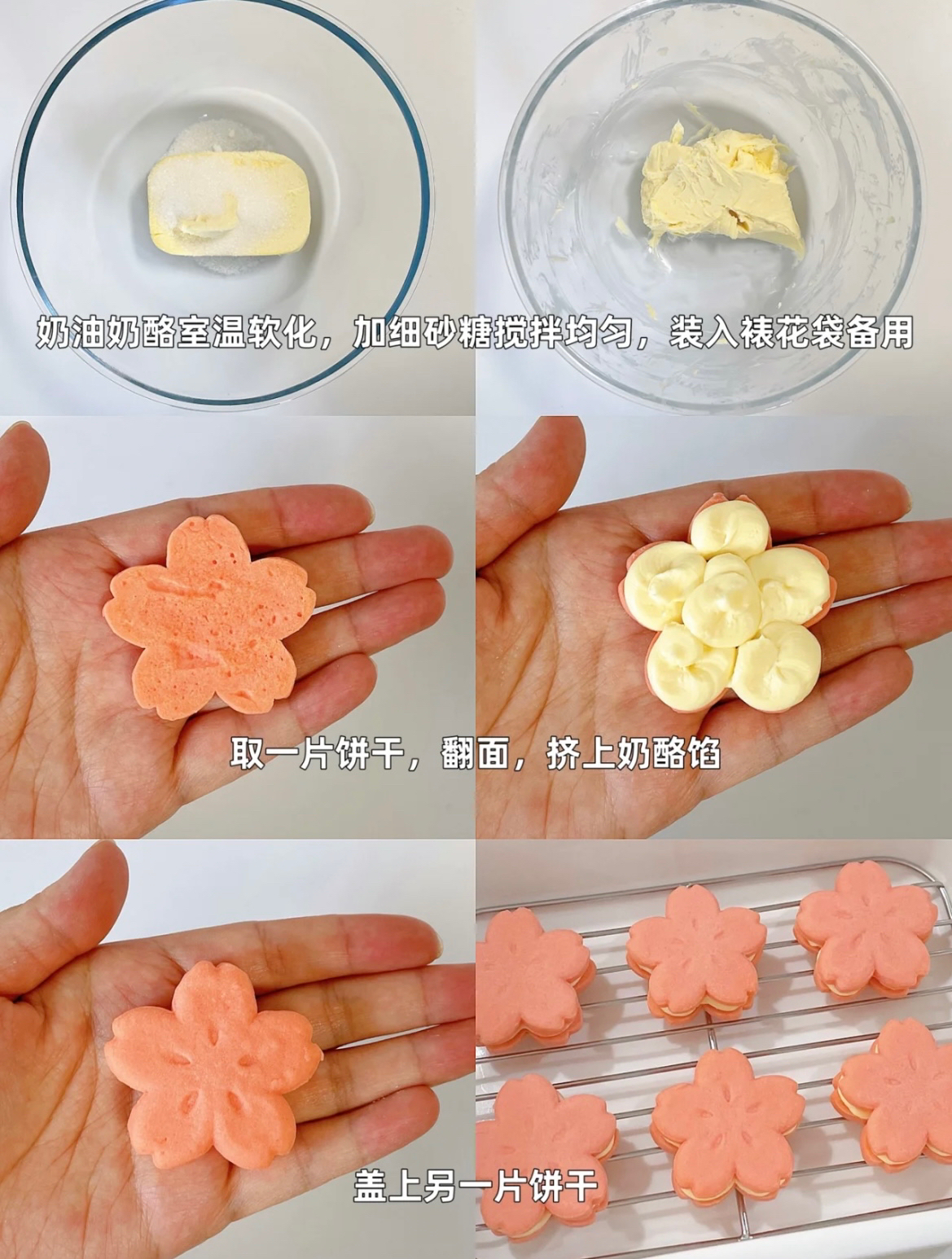 樱花🌸乳酪夹心饼干的做法 步骤3