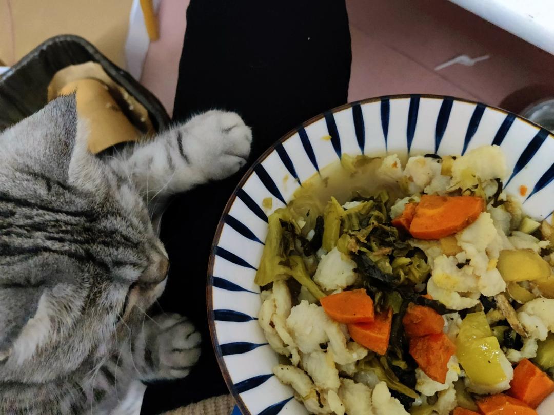 家常酸菜鱼(巴沙鱼)