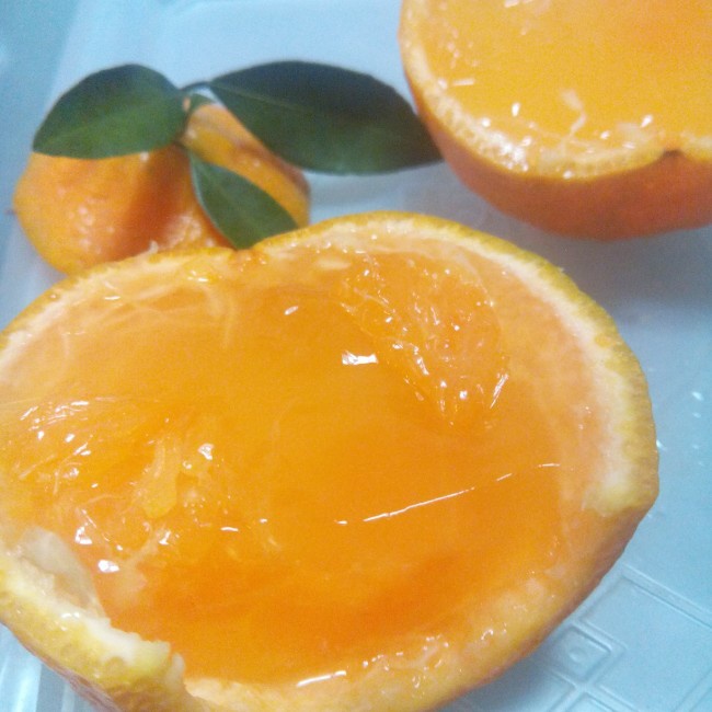 夏柑糖