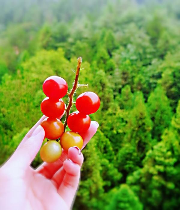 晚餐•2018年8月1日