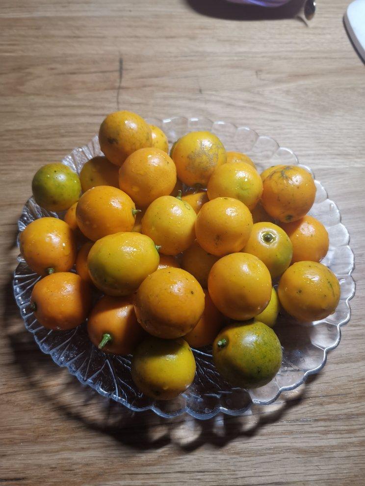 止咳化痰-金桔膏