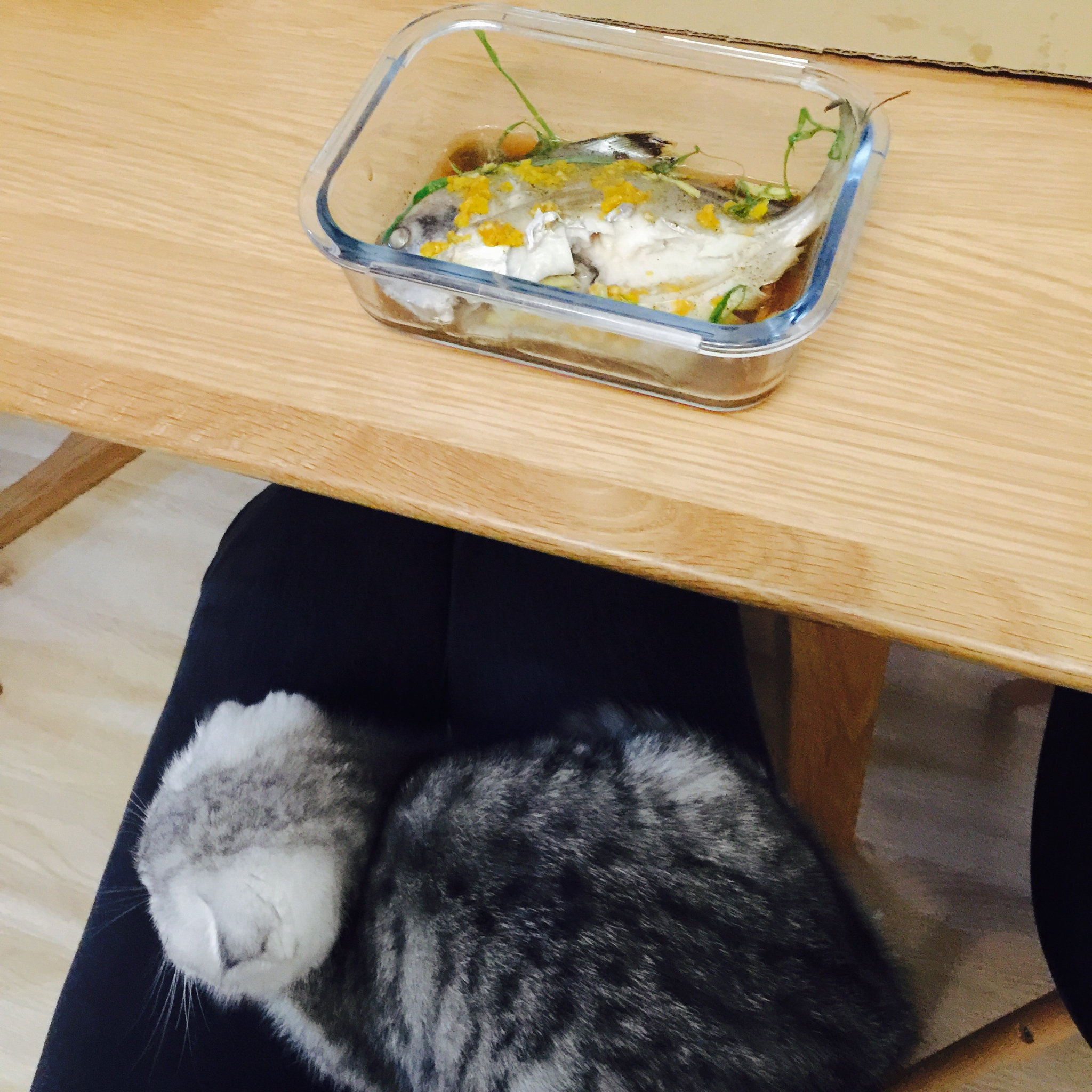 一人食