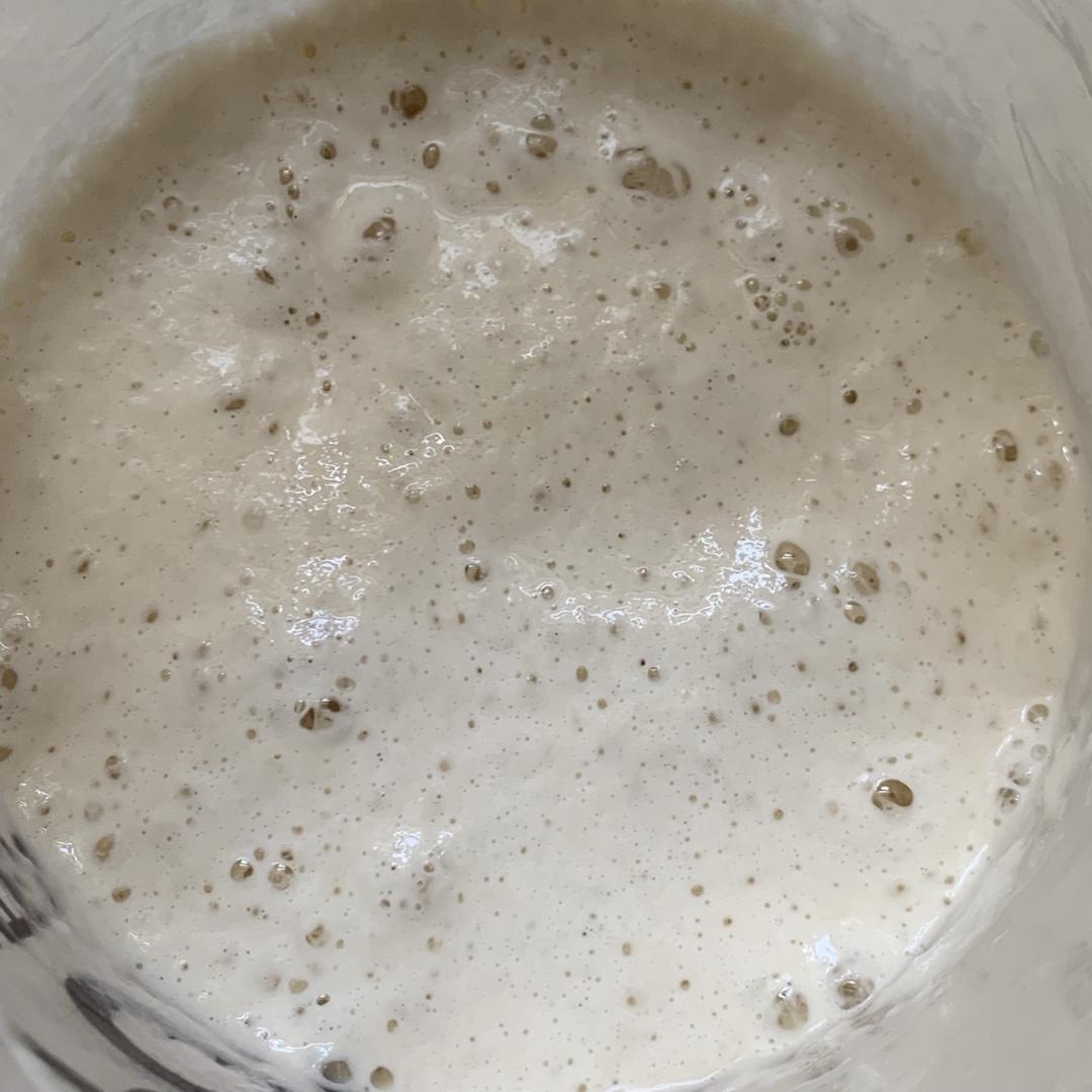 1:1天然酵母（鲁邦种）养成计划