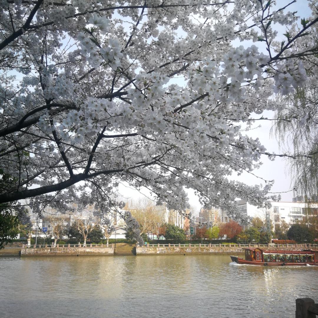 小叶子厨餐厅