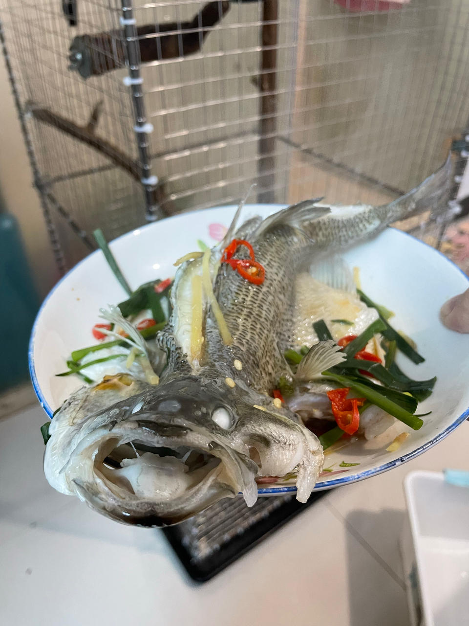 清蒸鲈鱼，鱼肉鲜美嫩滑的秘密
