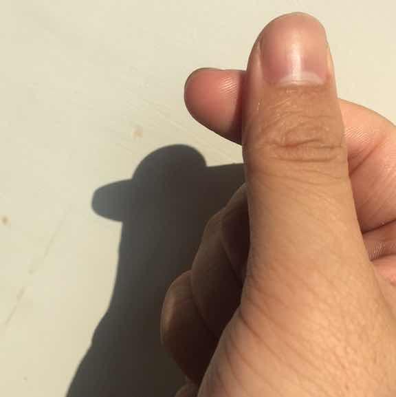 传说中的大厨子