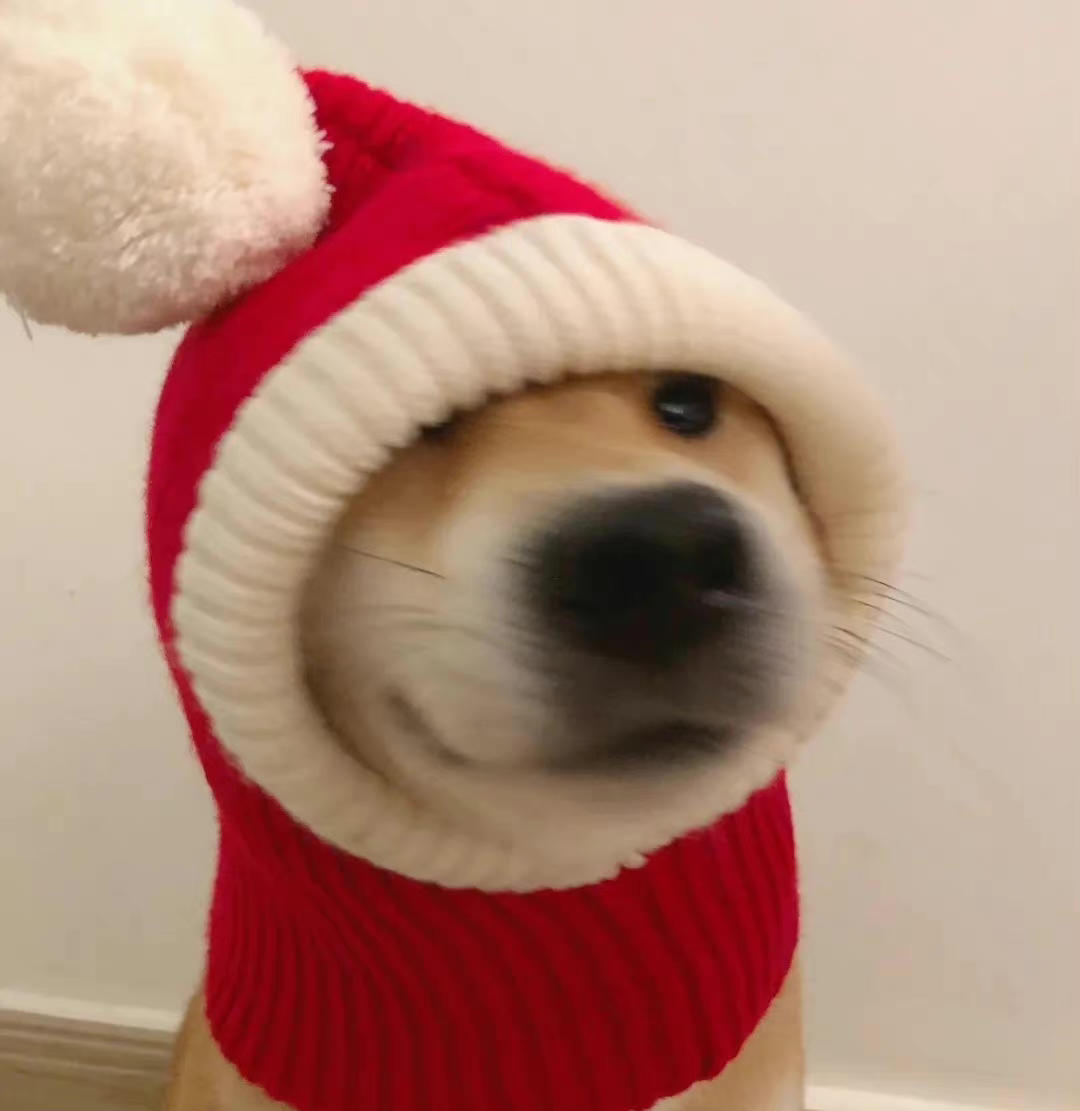 请叫我小罗同志