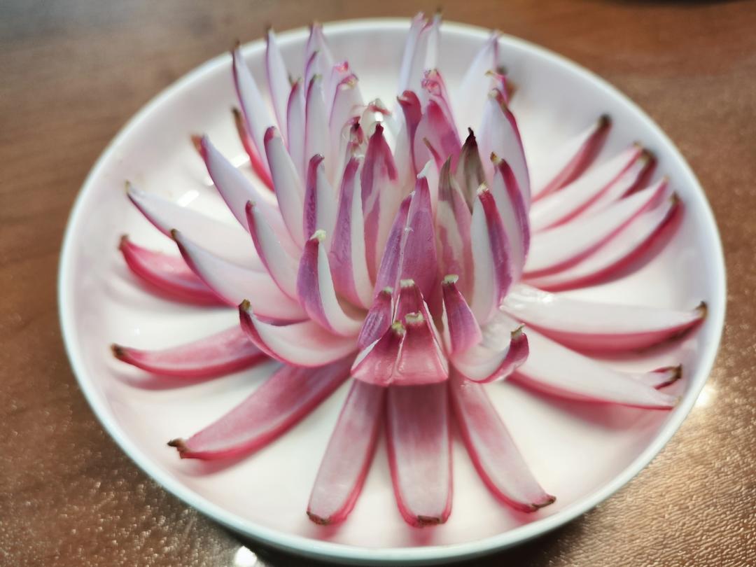 慢慢盛开的唯美 【洋葱花】