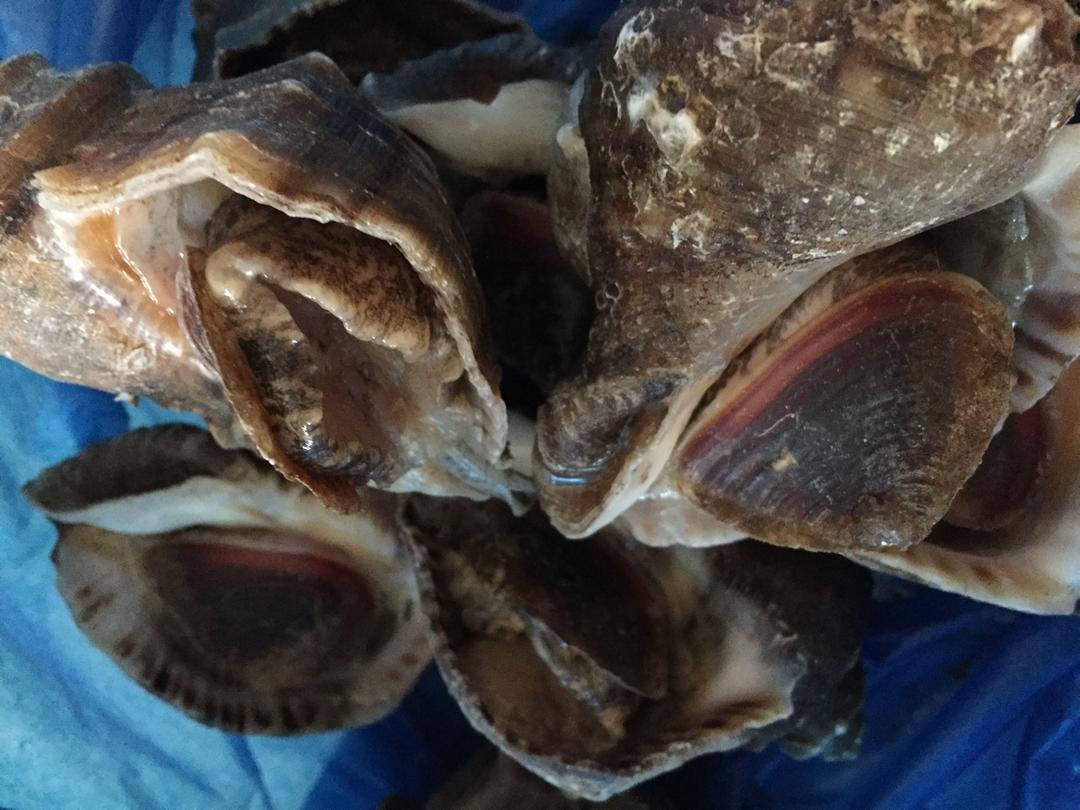 微雨清河做的煮大旺螺