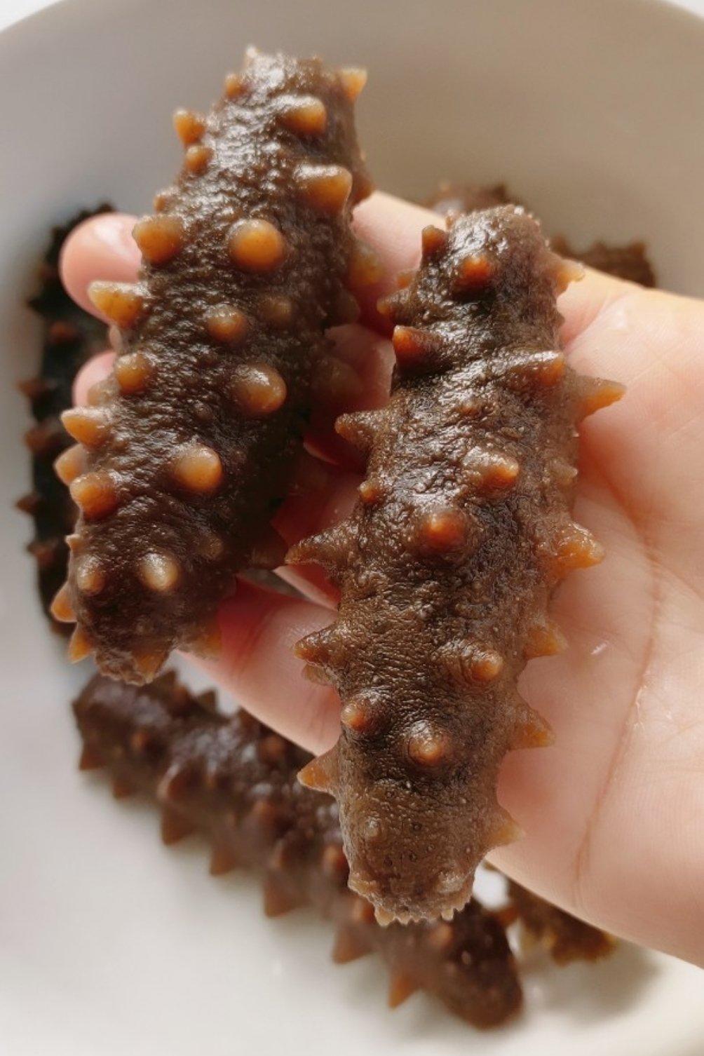 海参泡发全过程【详细详细详细】