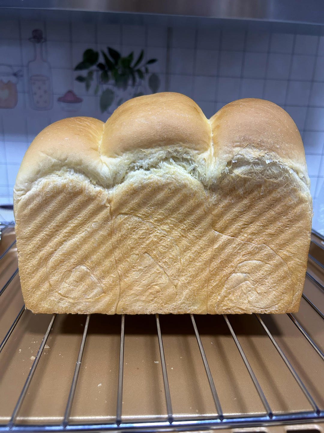 夺命软吐司(๑´ڡ`๑)超软拉丝极速方便的一次发酵吐司