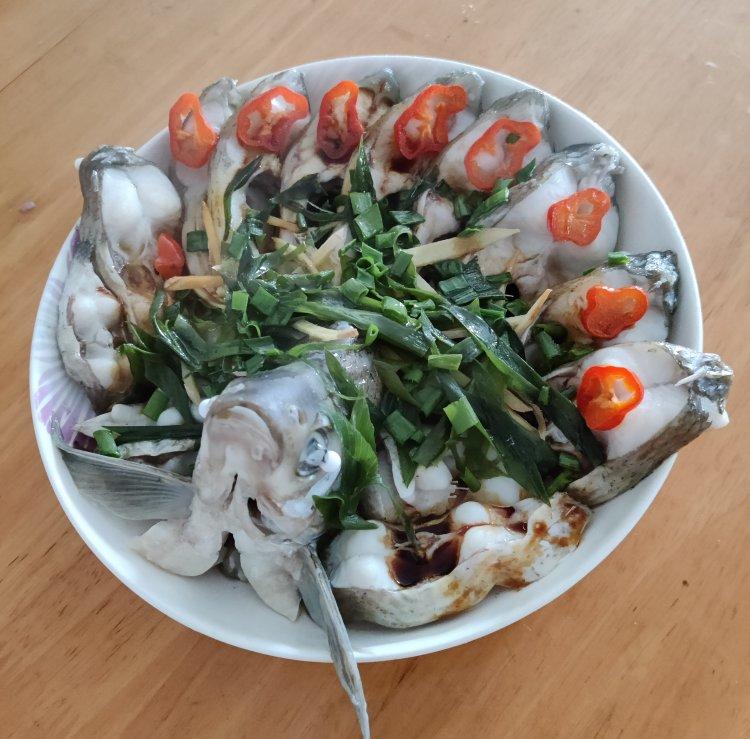 朋友圈点赞收割机【孔雀开屏鱼】