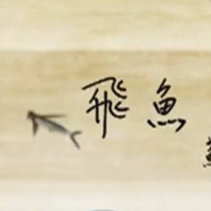 飞鱼夏了夏天
