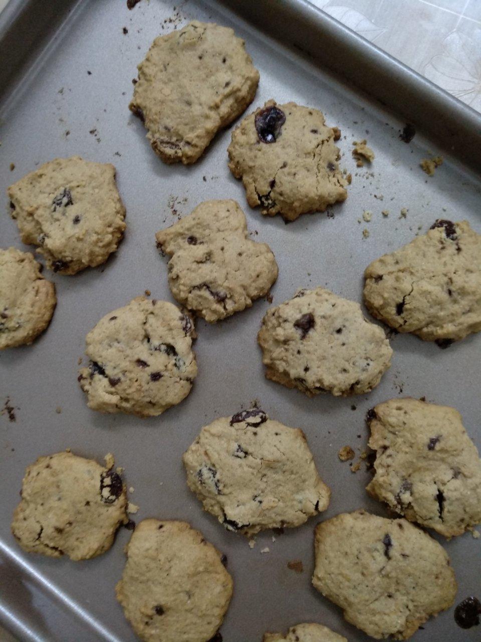 葡萄干麦片曲奇 Oats Cookies