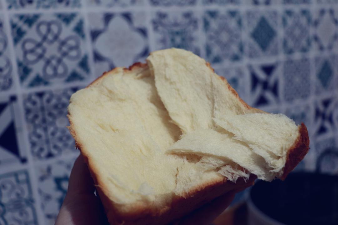 杂食